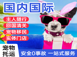 喀什机场物流国际宠物托运 【国